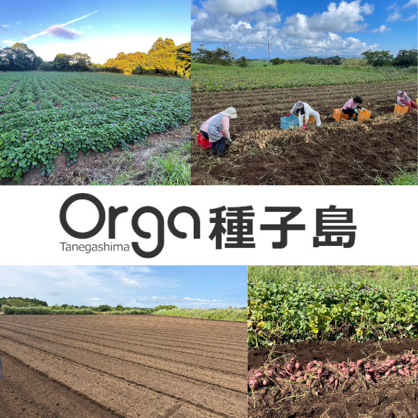 Orga種子島